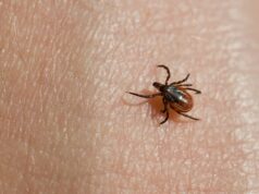 Public Health Updated Guide Agaisnt Ticks