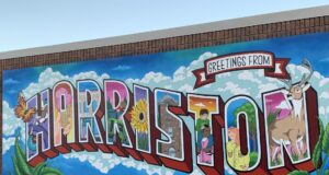 Arthur Street West Reconstruction Begins