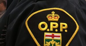 Plate Reader Finds Suspended Driver