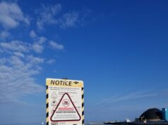 Four Huron Beaches Ruled Unsafe for Swimming