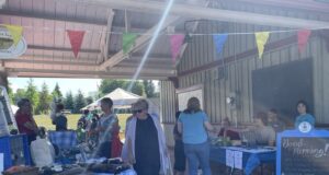 Strawberry Social Kicks Off First of Events for Minto Farmers Market