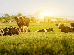 Nominations Close Soon for Ontario Excellence in Agriculture Awards