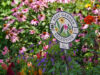 Stratford Looking for the Best Local Gardens