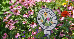Stratford Looking for the Best Local Gardens