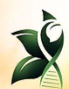Agri-Food Discovery Centre Holding Youth Business Market