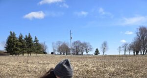 UTRCA Phosphorus Reeducation Program Applications Open
