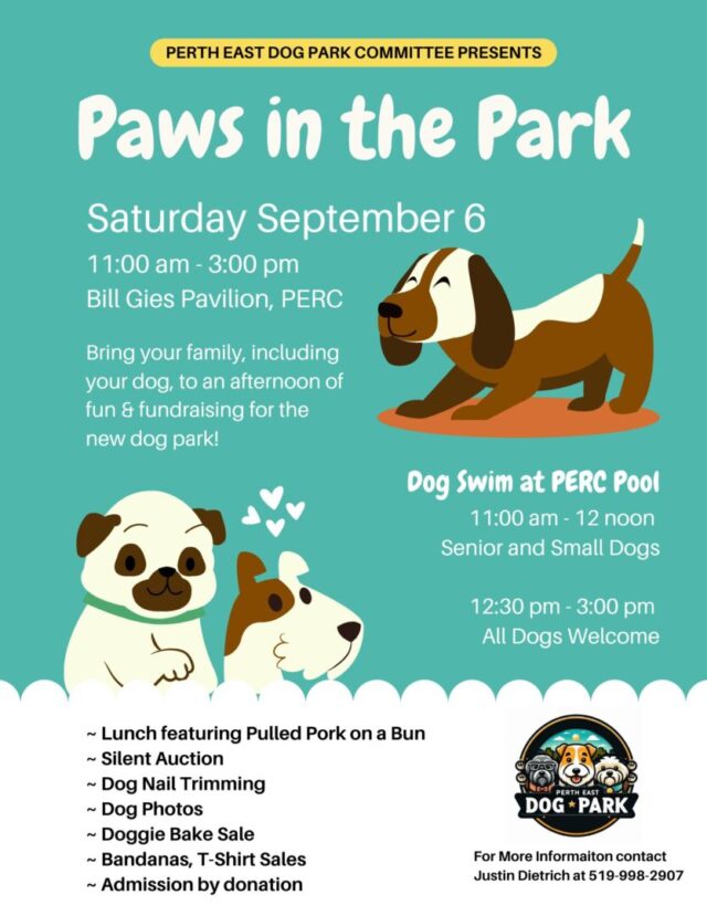Paws in the park