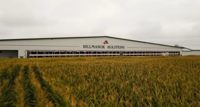 Hillmanor Farms Perth County