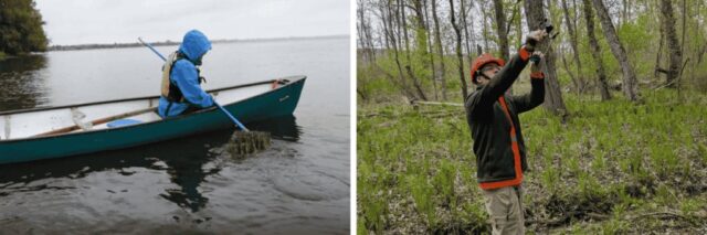 Invasive Species funding