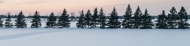 Perth County wind break