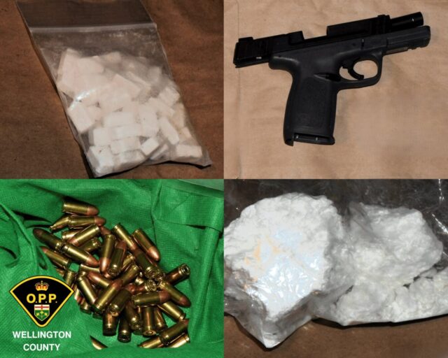 Wellington Seized Property