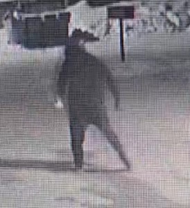 Shakespeare suspect