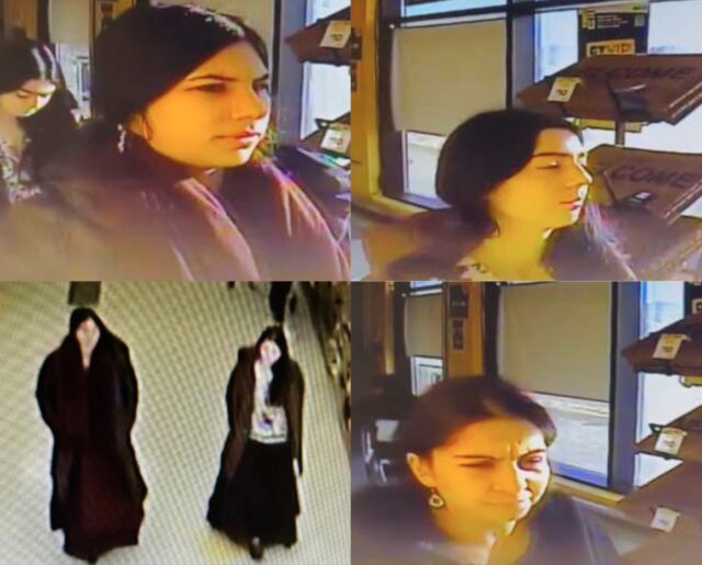 fergus theft SUSPECTS