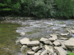 UTRCA Contributes 855.76 Hectares to Canada’s 30×30 Project