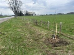 Perth County and Rotary Club Plant 189 New Trees