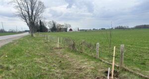 North Perth Tree Sale Opens Soon
