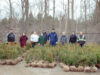 Goal of 28,000 Trees and Shrubs to Plant This Spring with UTRCA