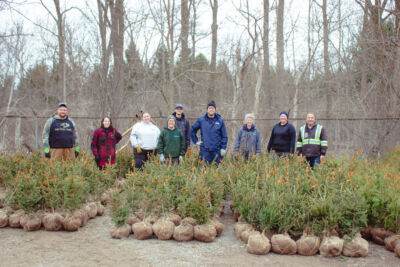 Goal of 28,000 Trees and Shrubs to Plant This Spring with UTRCA | The ...