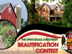 Bruce County IPM Launch Beautification Contest