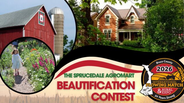 IPM Beautification Image