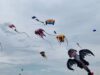 Kites in Clifford Set for May 30th