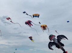 Kites in Clifford Set for May 30th