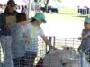 Students Dive Deep Into Agriculture for Education Day