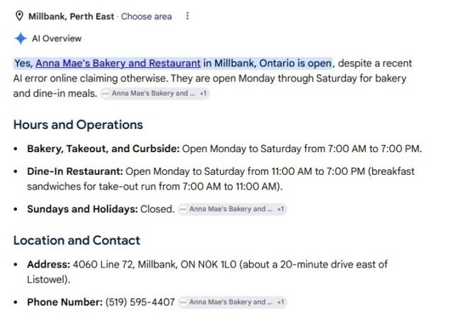 Anna Mae's AI