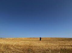UTRCA Making Site Visits with Winter Wheat Harvest Complete