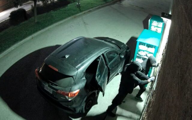 Elora Break in Suspects